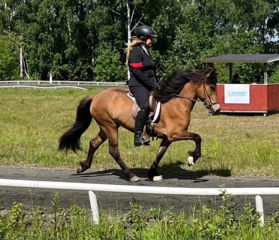 Förmedling