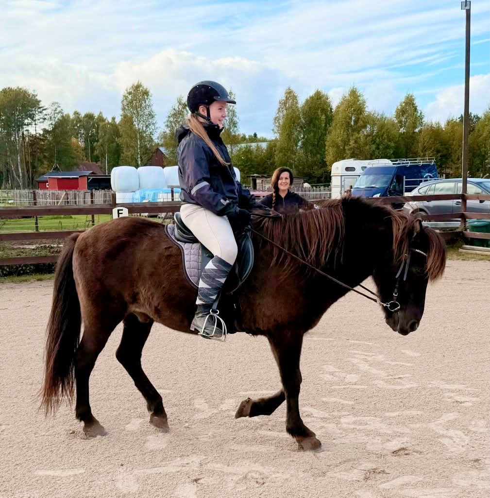 Lektioner